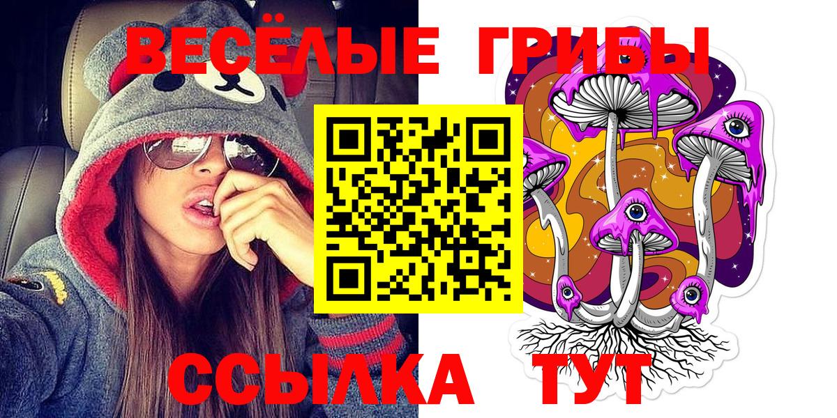 Галлюциногенные грибы Psilocybine cubensis  Вход с VPN  Псилоцибиновые грибы Psilocybe  Москва 